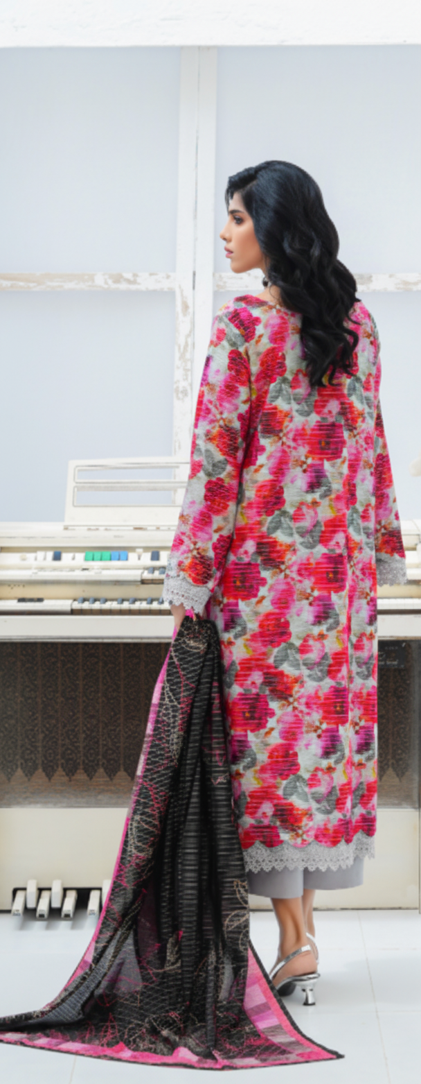 Salina Fancy Khaddar