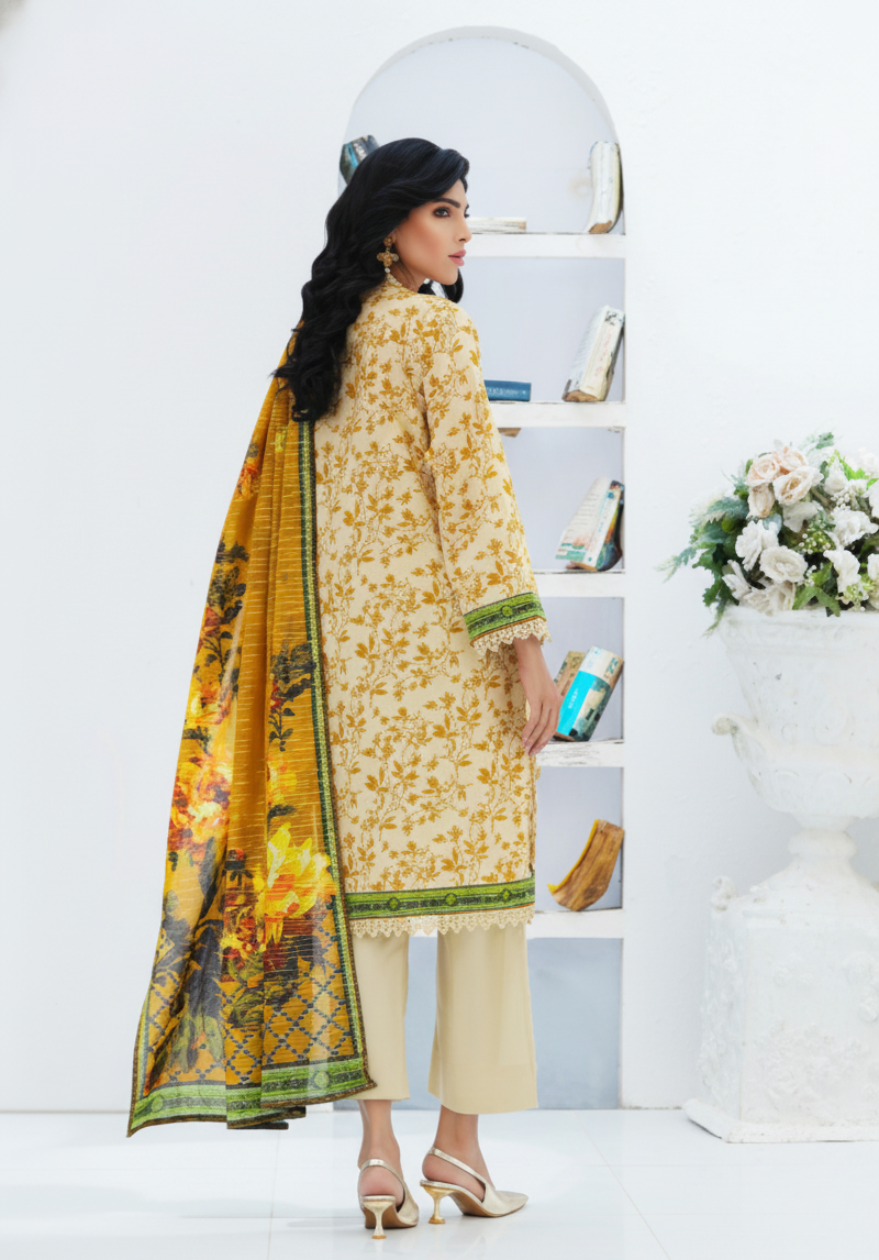 Salina Fancy Khaddar